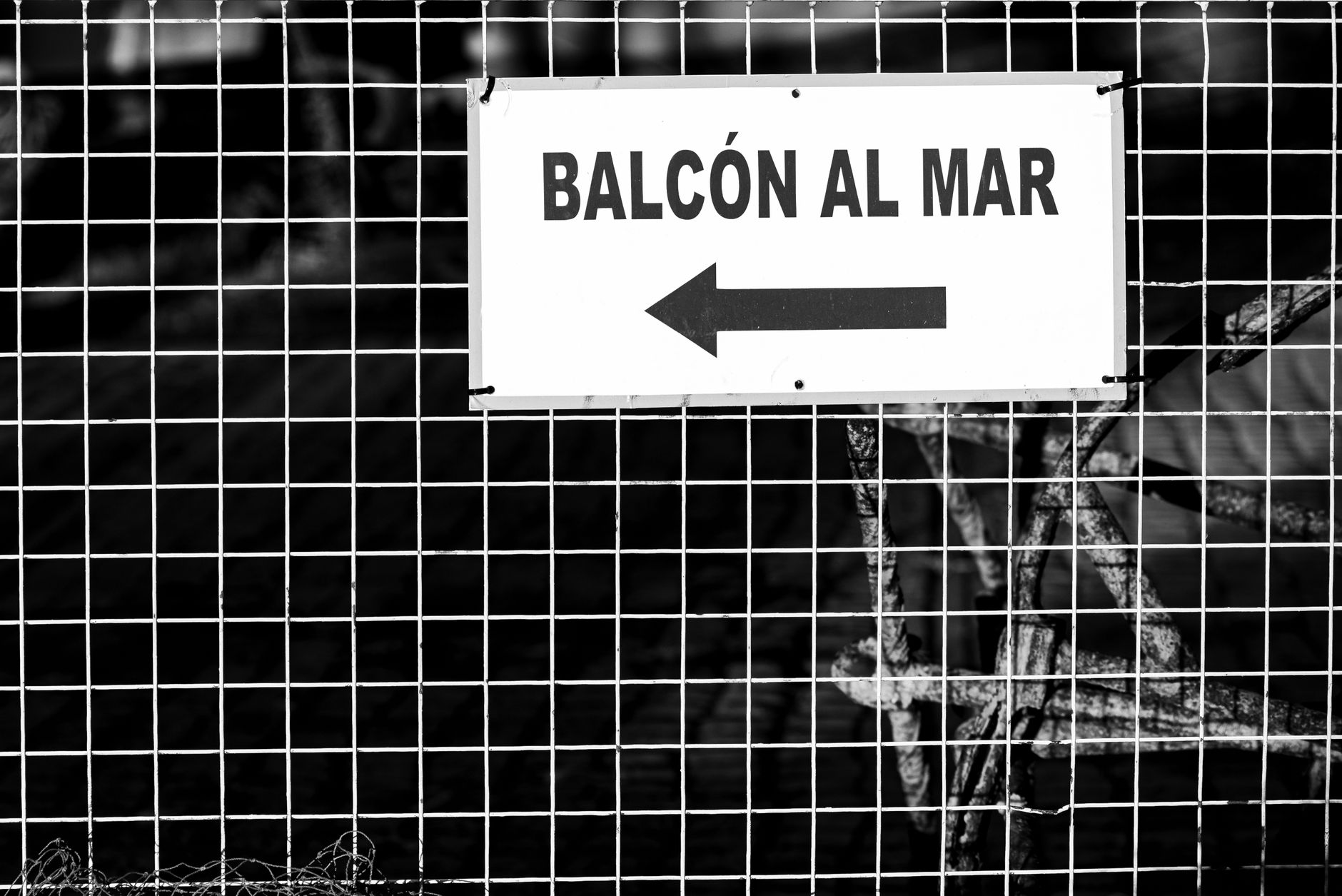 Balcón y terraza seguros para gatos