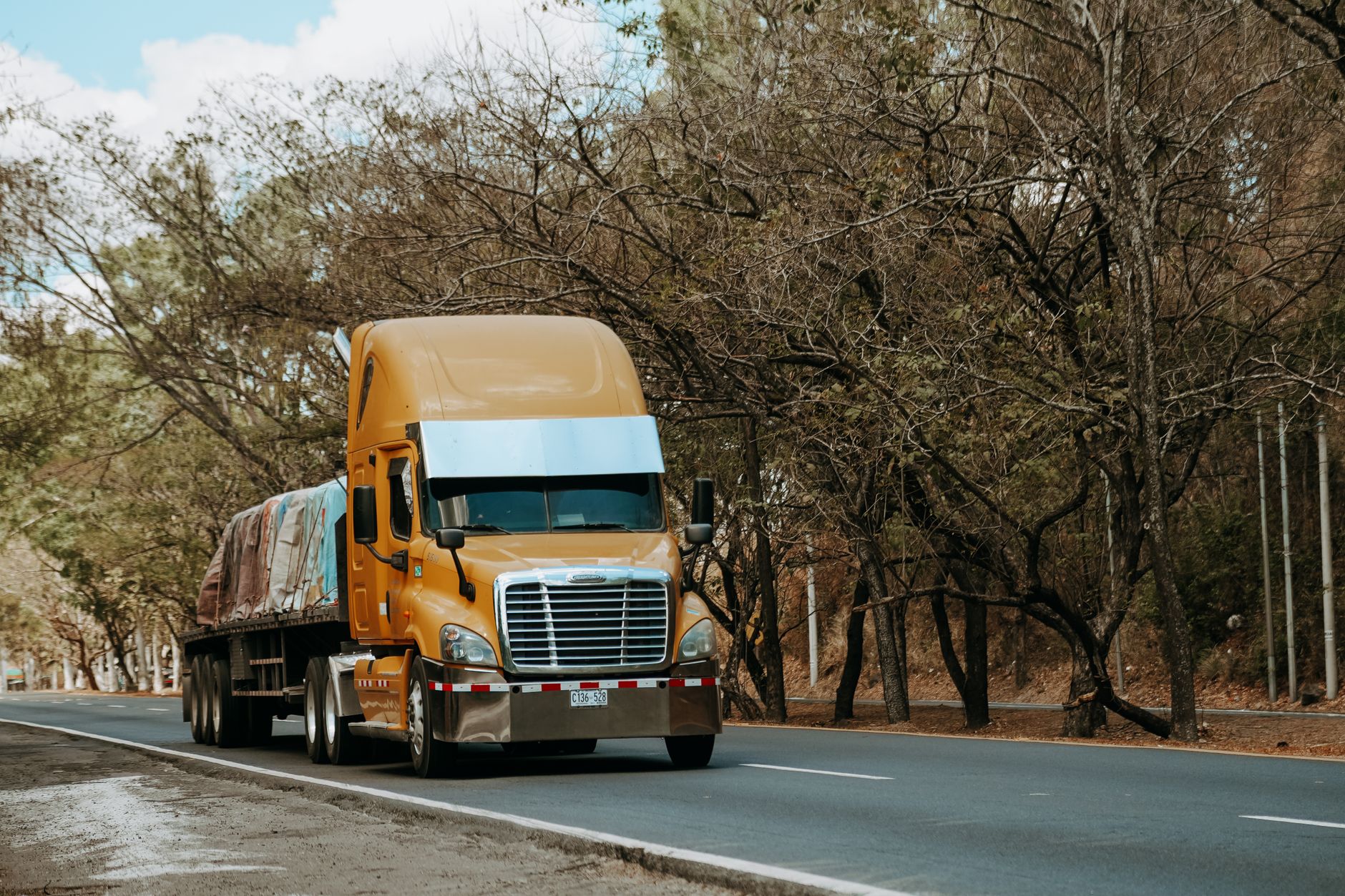 Enseñar a tolerar el transportín
