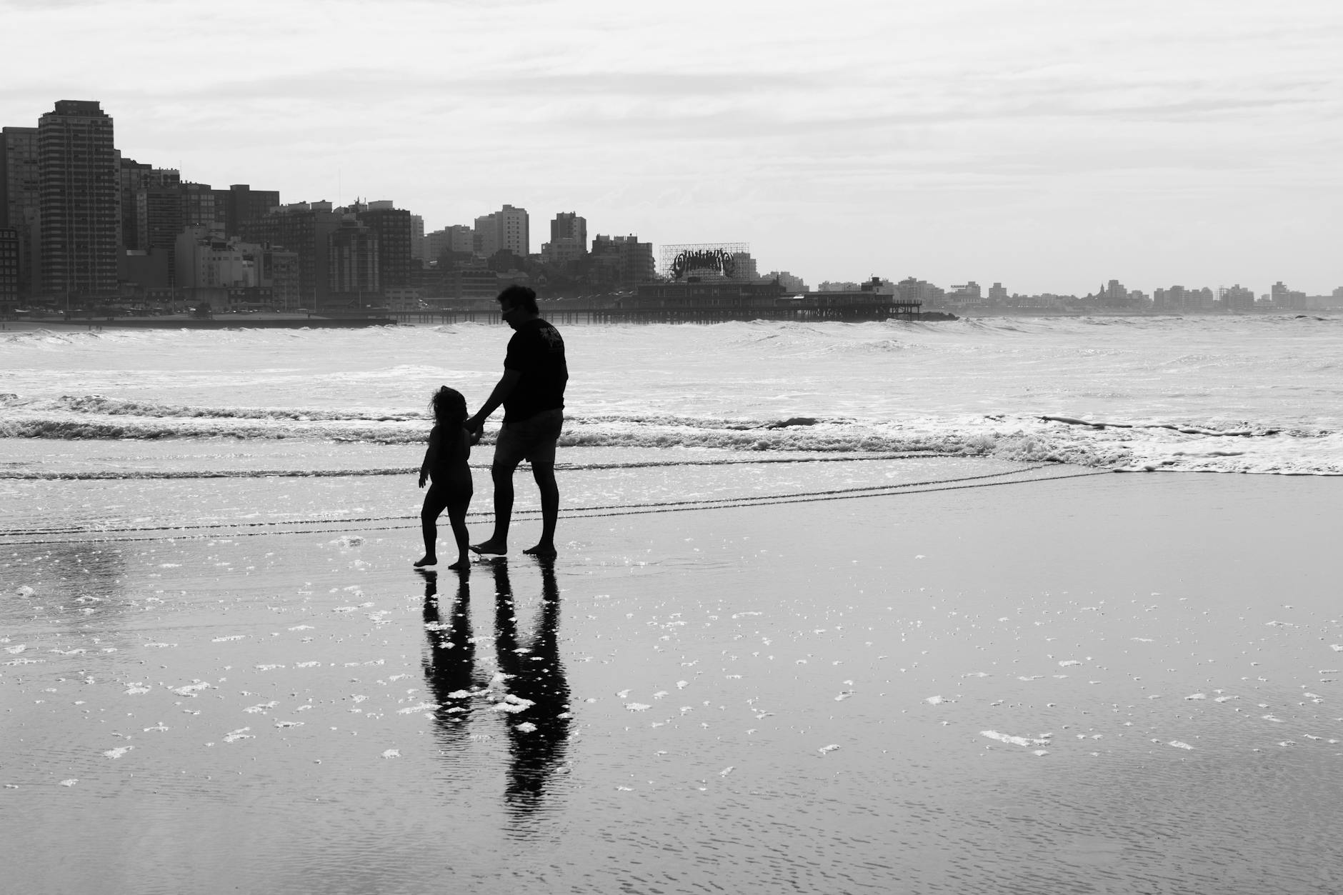 Familias numerosas y gato: convivencia tranquila
