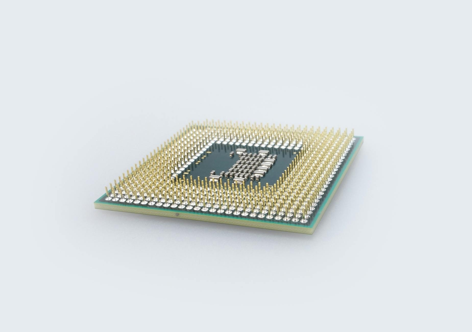 Identificación con microchip