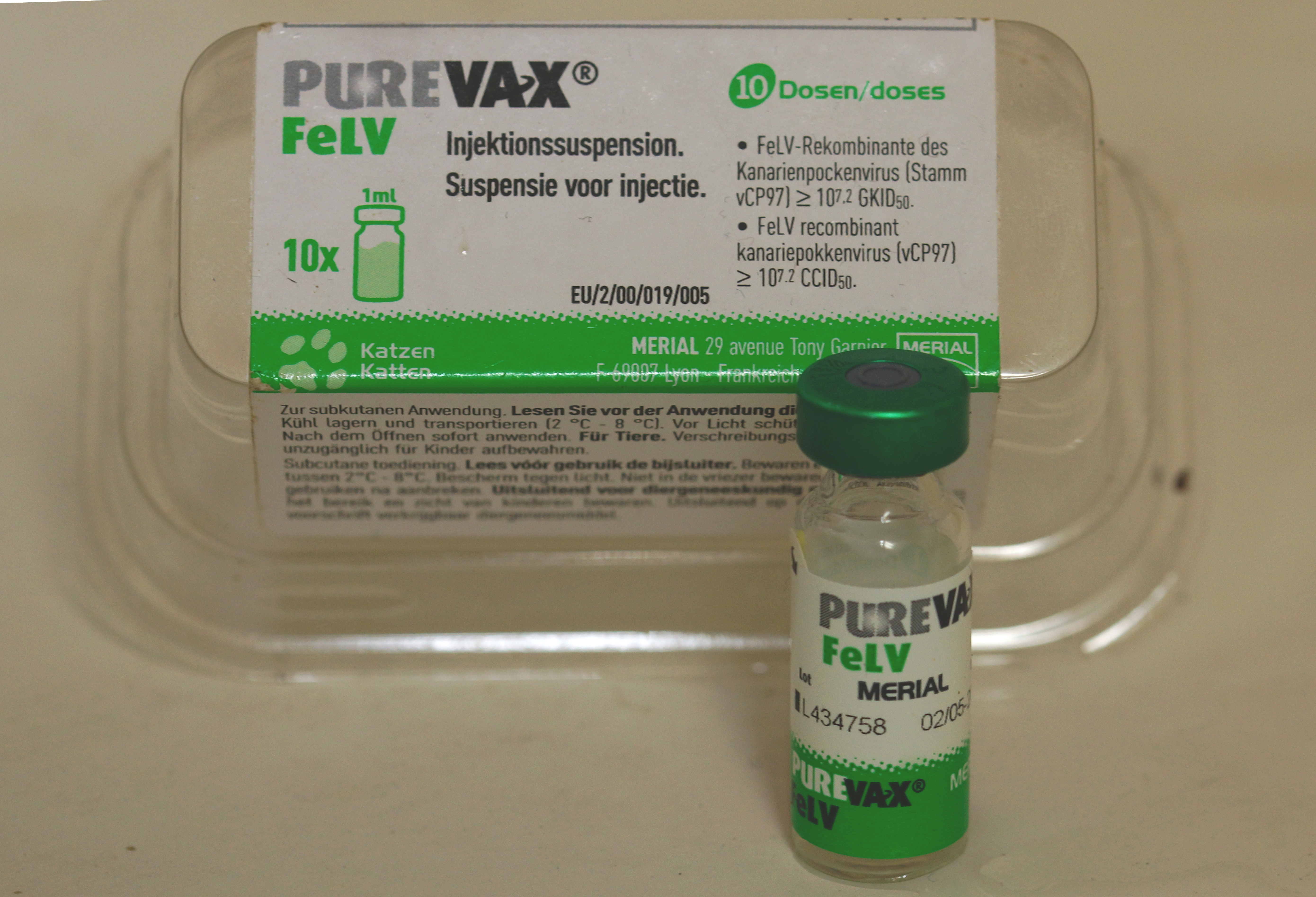 Leucemia felina (FeLV)